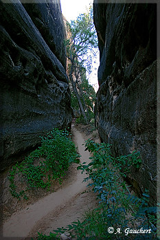 Am Ausgang des Canyons